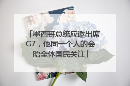 墨西哥总统应邀出席G7，他同一个人的会晤全体国民关注